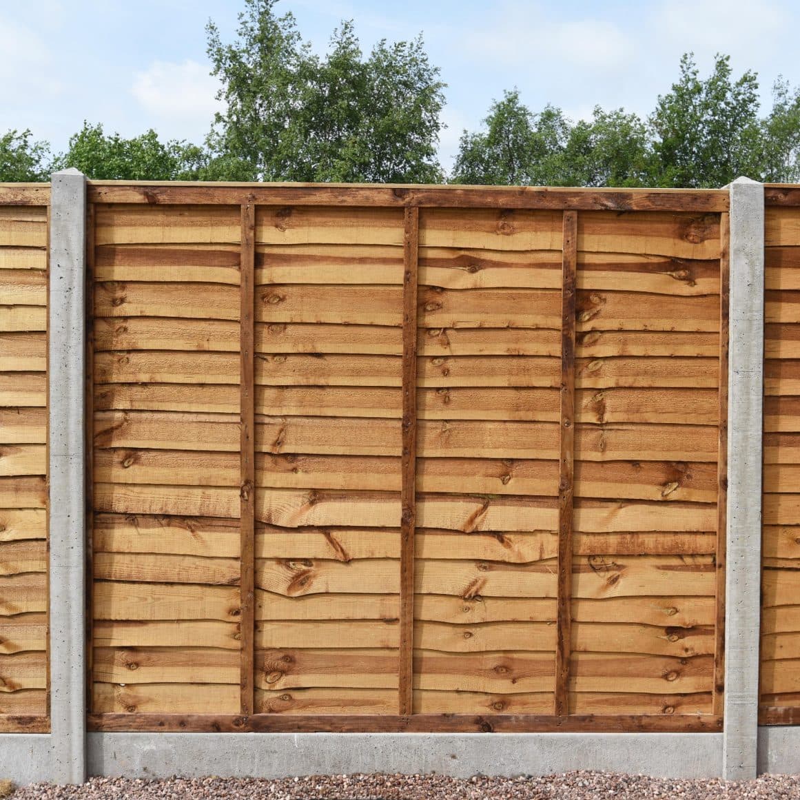 Timber lap fence panels in a garden