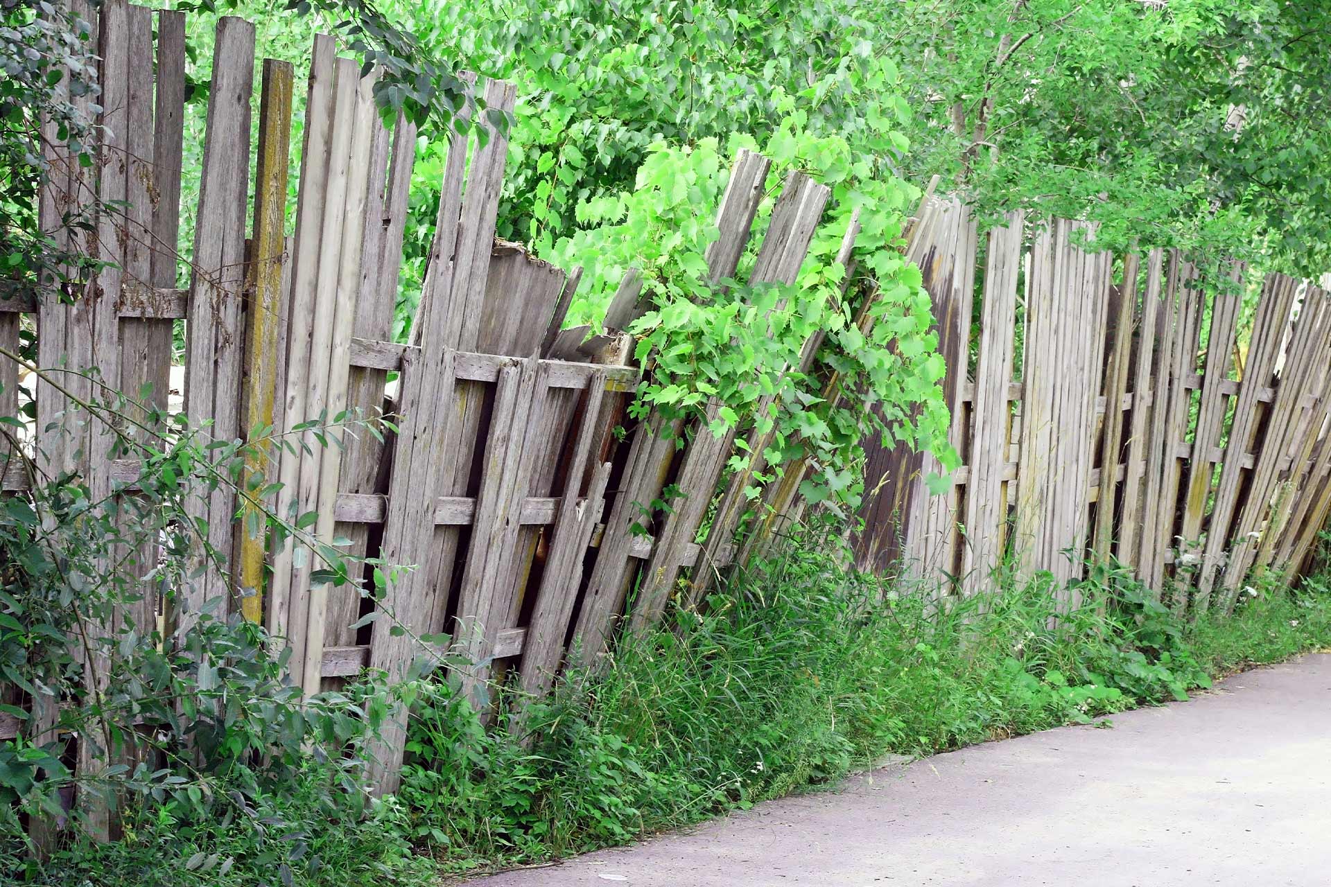 An old timber fence replaced with new fencing