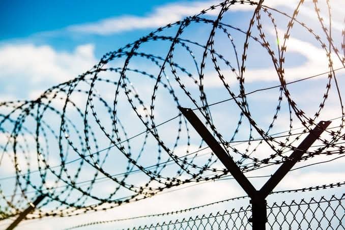Security fencing